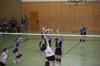 Damen: UAB1-volley16