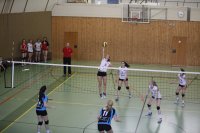 Damenfinale: UAB1-volley16