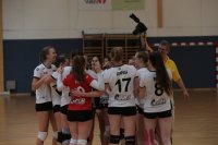 WVV Cup Finale 2018